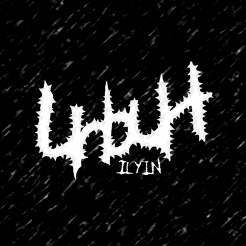 Роман Ильин