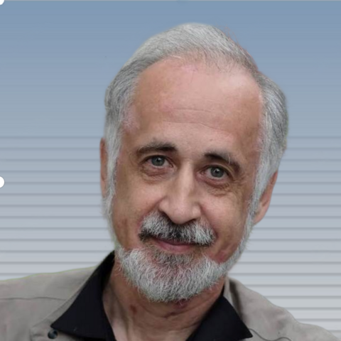 Лев Миникес