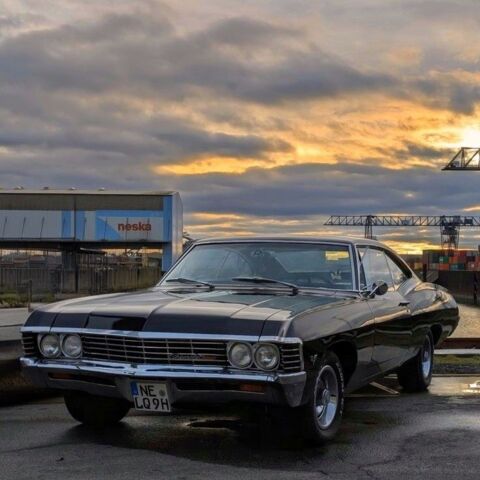 Impala Forever