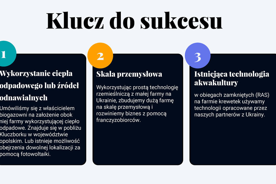 Коммерческое предложение для компании выращивающей гигантский креветок (853)
