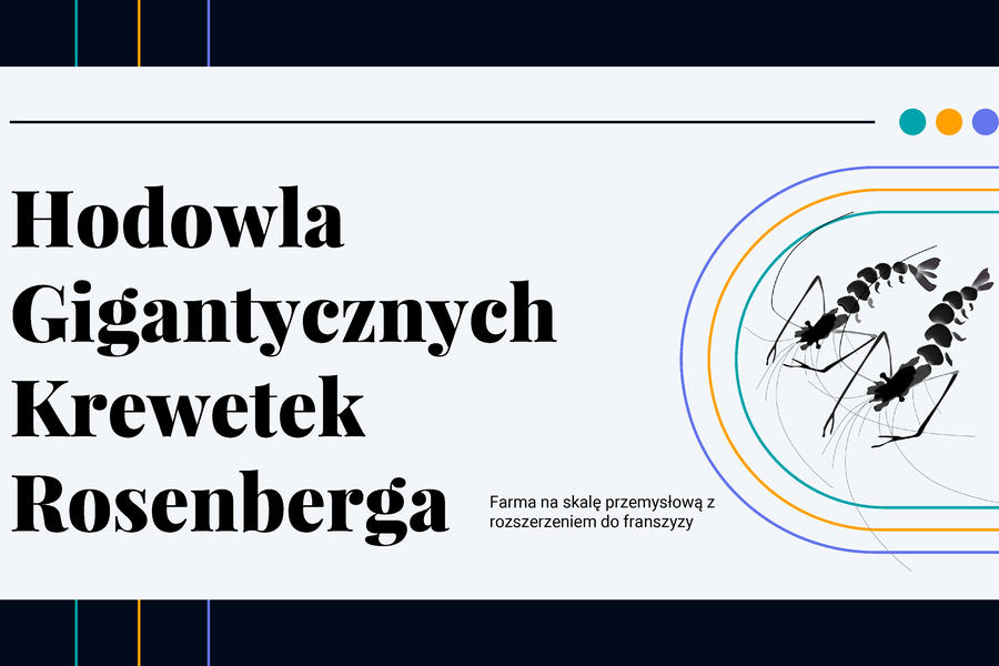 Коммерческое предложение для компании выращивающей гигантский креветок (851)