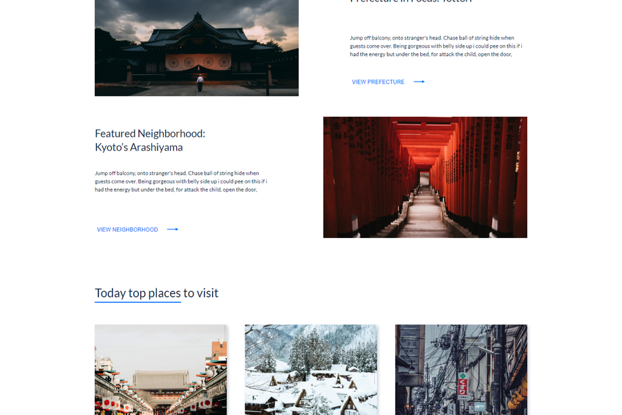 ODIGO, Адаптивная верстка Landing Page. (919)