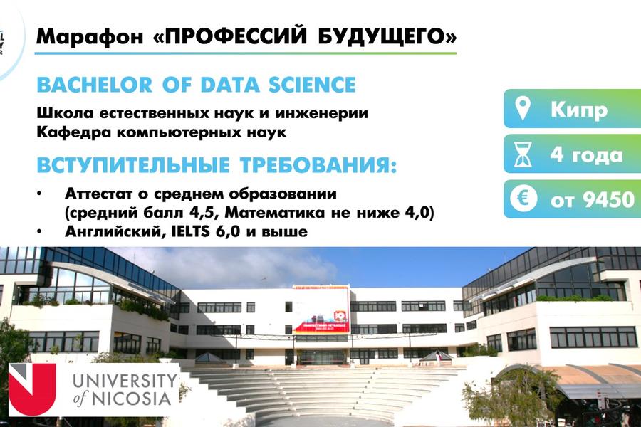 Презентация (939)