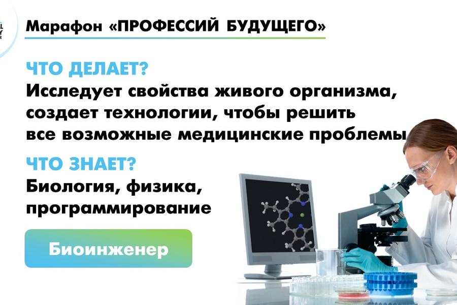 Презентация (938)