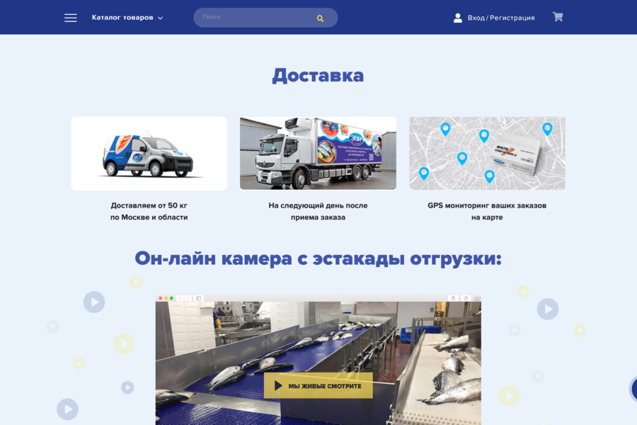 Разработал красивый интернет-магазин под ключ (1008)