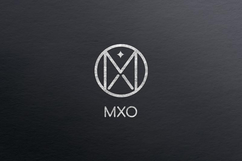 Фирменный стиль для компании «МХО» (1284)