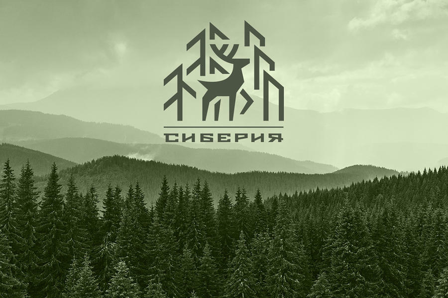 Изображение 2327