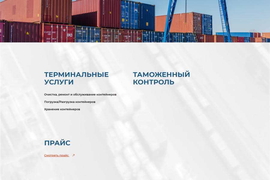nsk-terminal.ru (2269)
