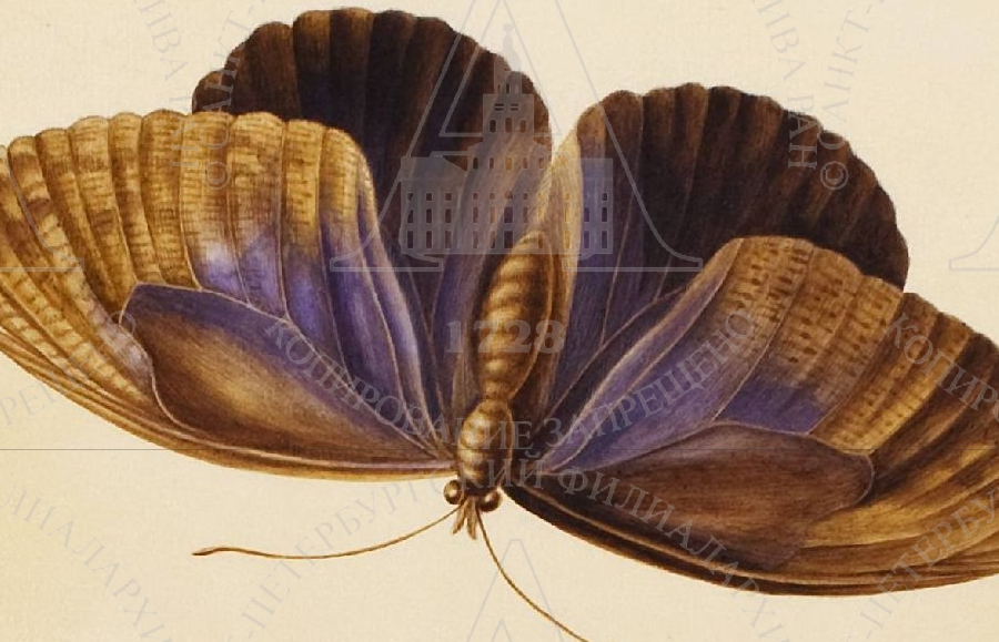 Изображение 367